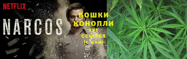 ГАЛЛЮЦИНОГЕННЫЕ ГРИБЫ Россошь