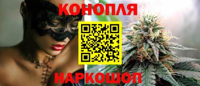 дмт Славгород