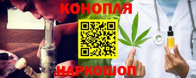 дмт Славгород