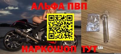 дмт Славгород