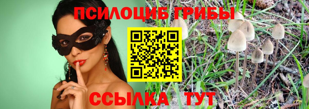 Псилоцибиновые грибы MAGIC MUSHROOMS  наркошоп  Балашов  Вход с VPN 